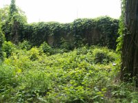 421 - 422 Szendeffy - Krestinszky